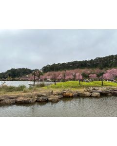 Test Auction Product - Premium Item